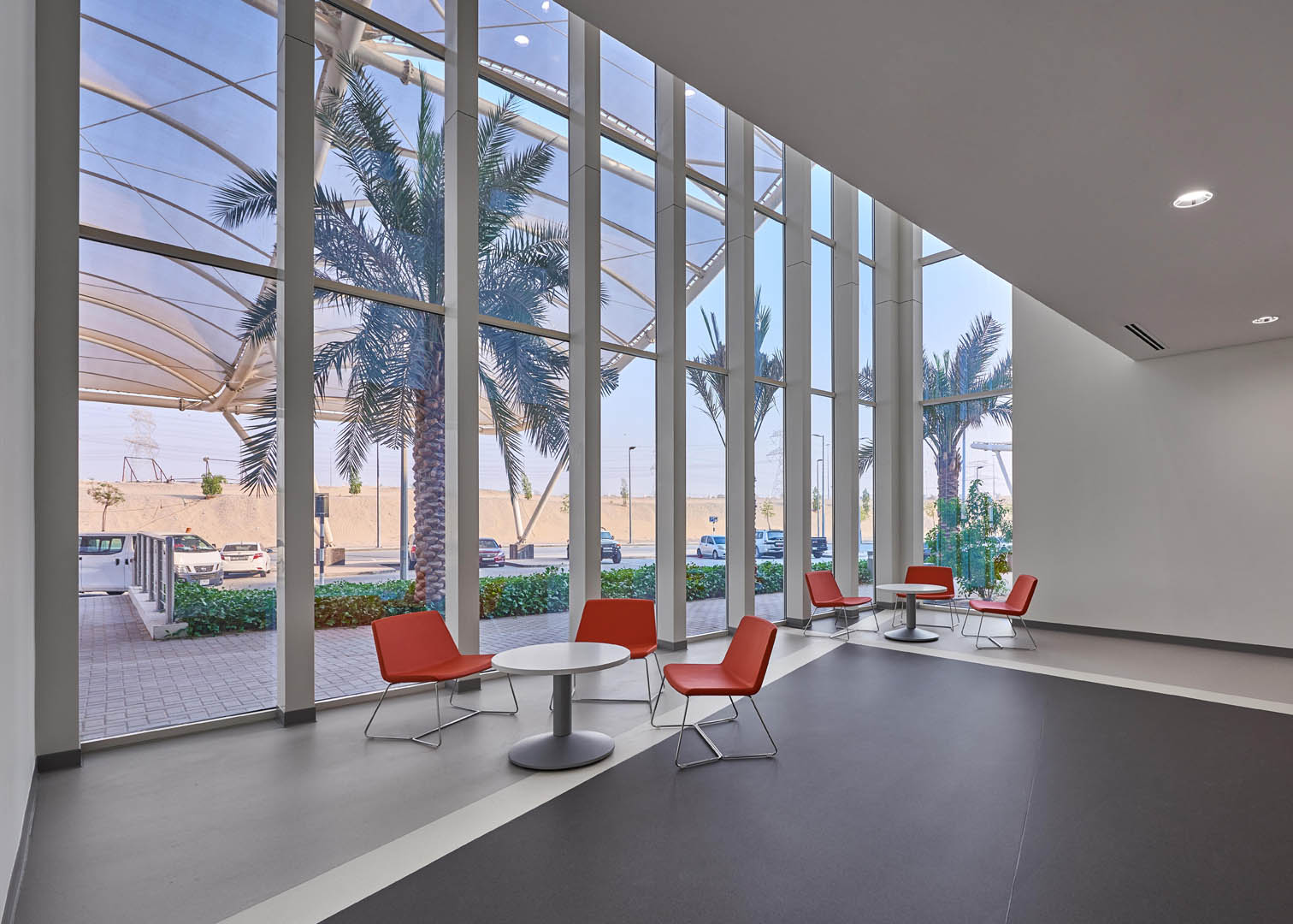 University of Dubai